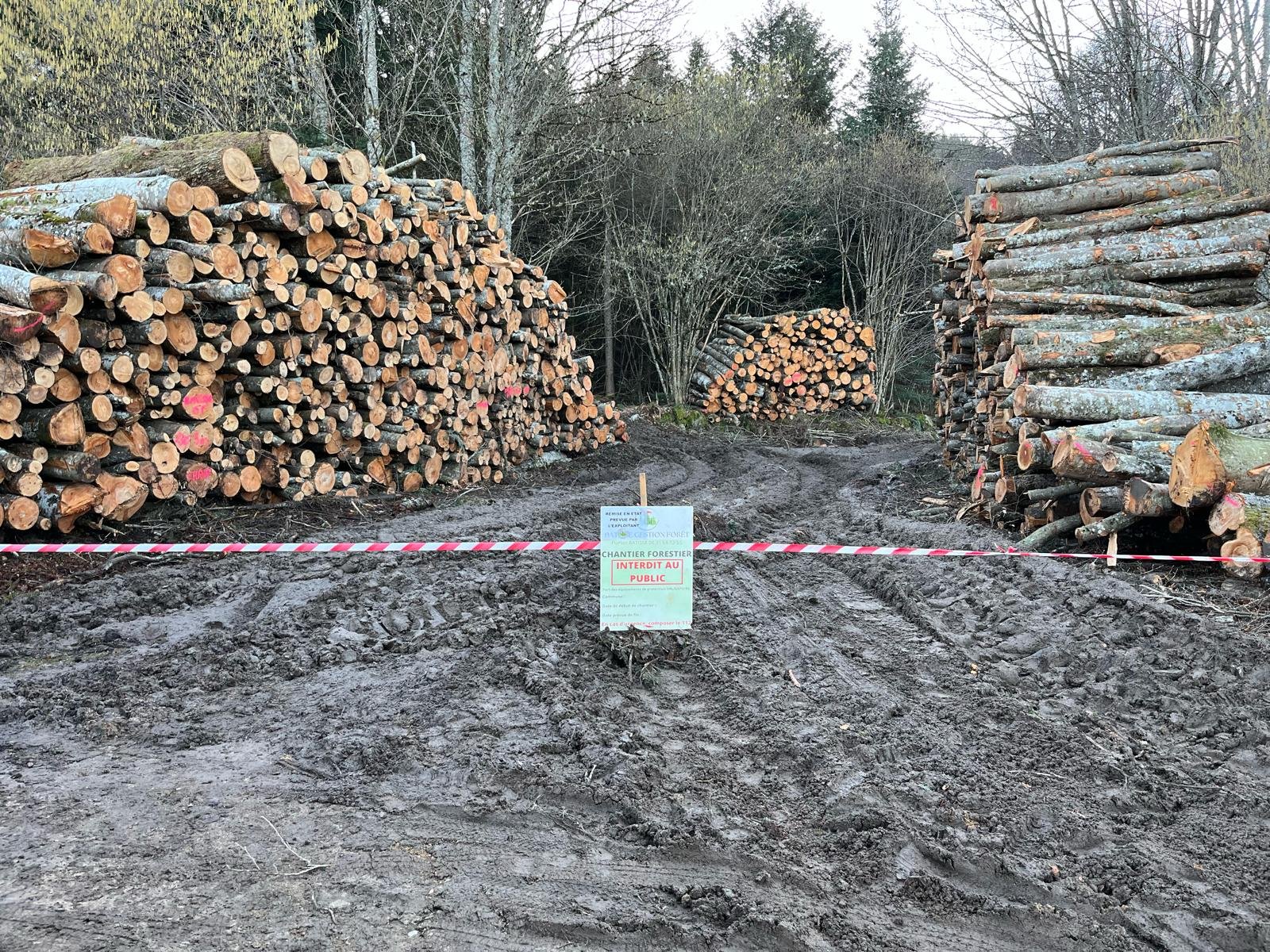 Chantier forestier sécurisé