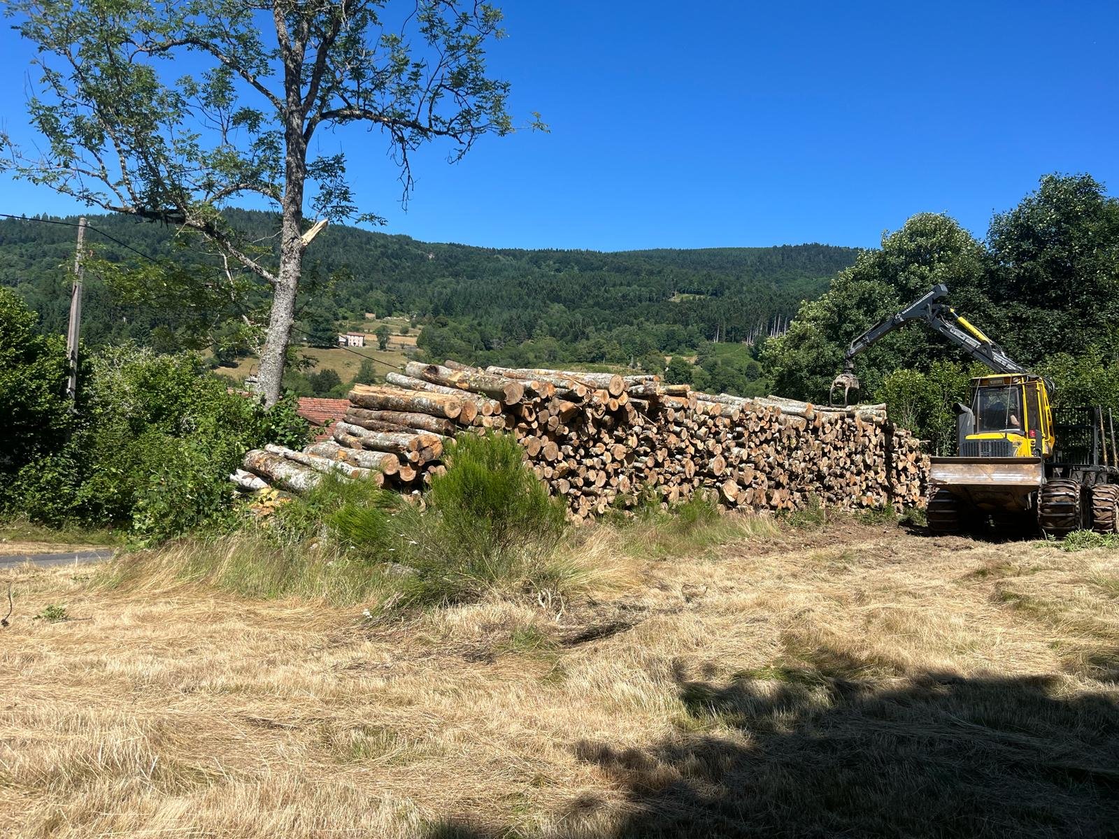 Débardage et stockage en bord de parcelle